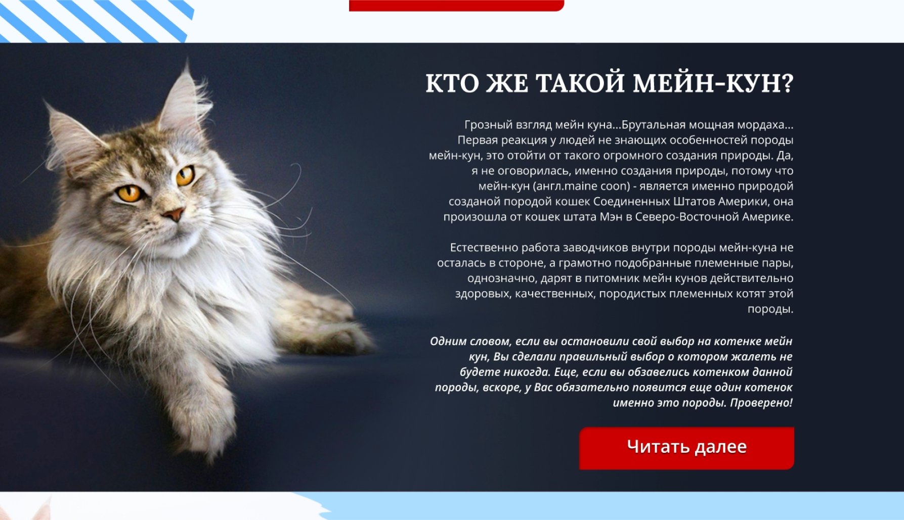 digital marketing services