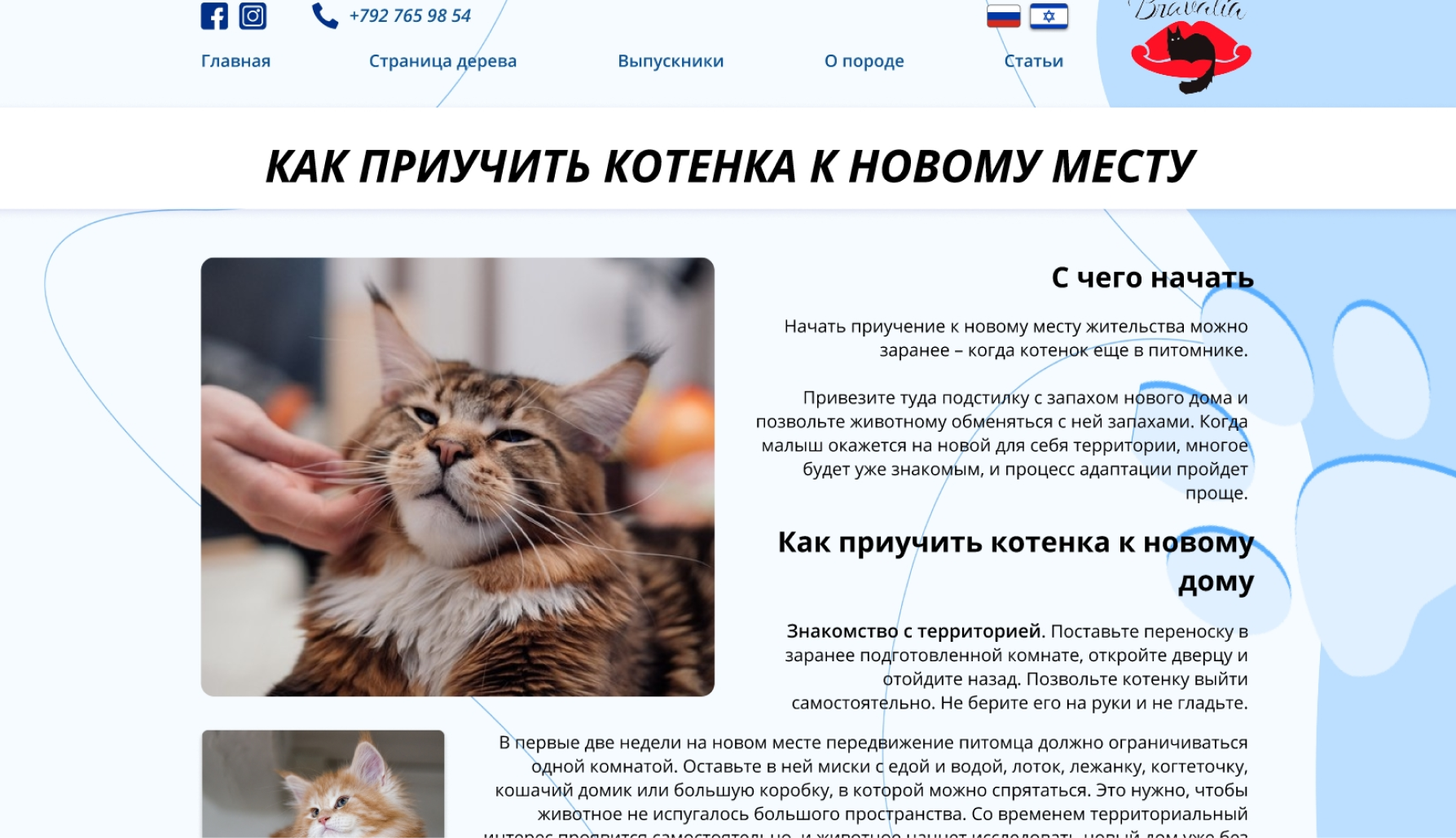 digital marketing services