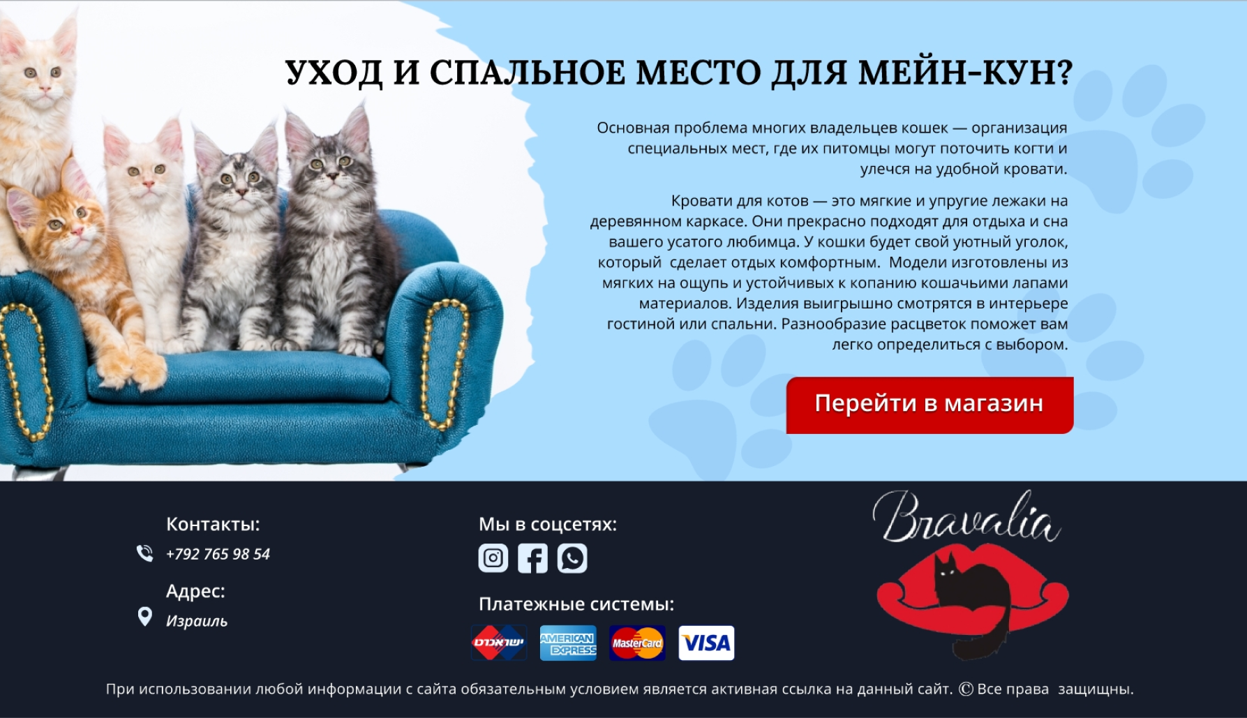 digital marketing services
