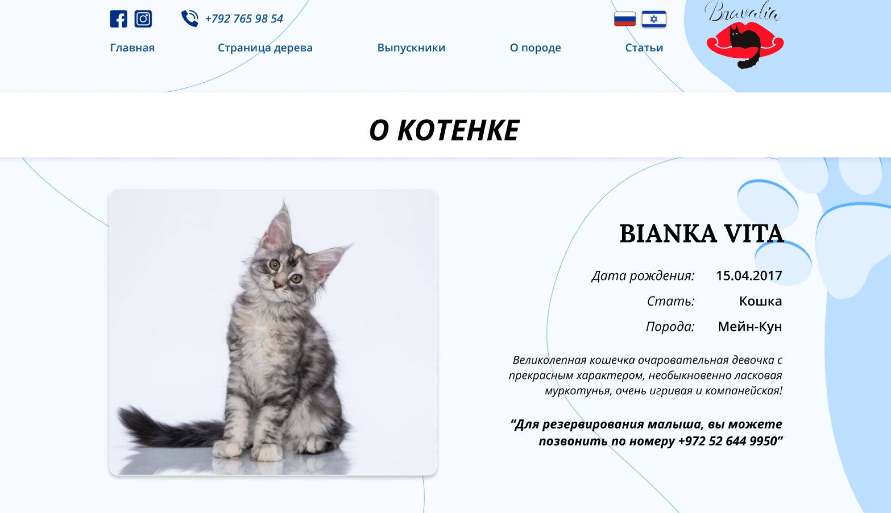 digital marketing services