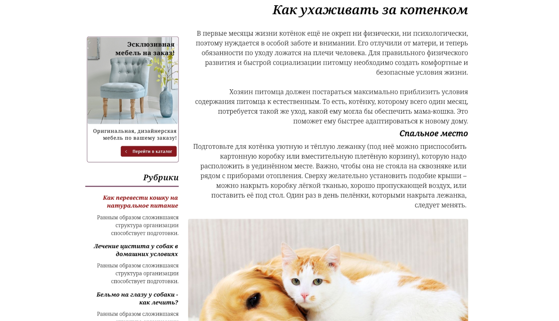 digital marketing services